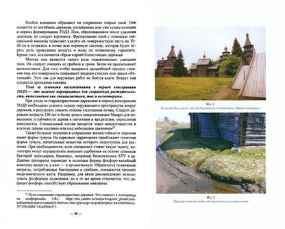 Фотография книги "Сокольская, Пычин, Вергунова: Ландшафтная архитектура. Сохранение и изучение территорий памятников деревянного зодчества"