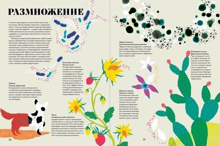 Фотография книги "Соледад Ромеро: Чудесная книга жизни"