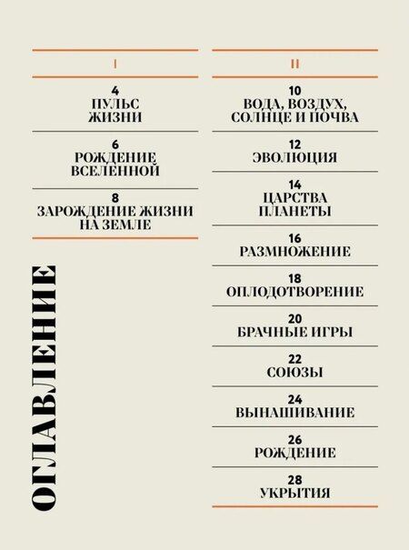 Фотография книги "Соледад Ромеро: Чудесная книга жизни"