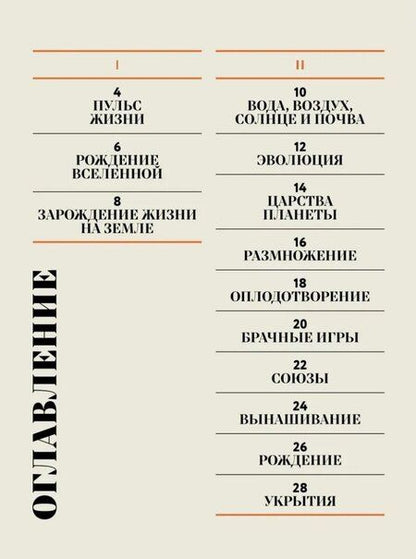 Фотография книги "Соледад Ромеро: Чудесная книга жизни"