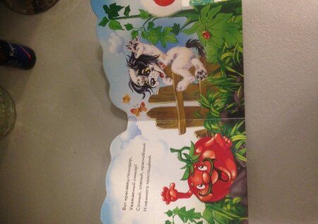 Фотография книги "Солнышко: Весёлый огород"