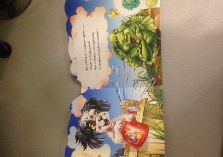 Фотография книги "Солнышко: Весёлый огород"