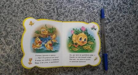 Фотография книги "Солнышко: Все про цыпленка"