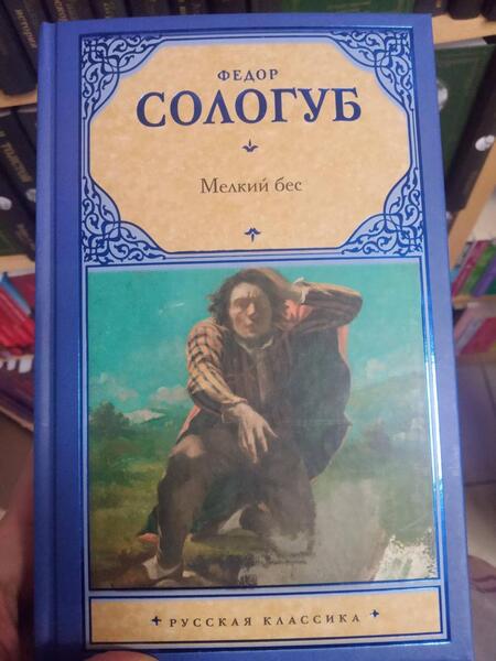 Фотография книги "Сологуб: Мелкий бес"