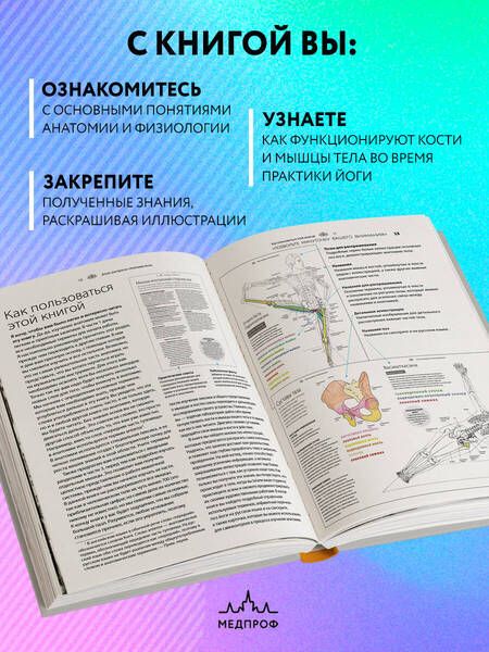 Фотография книги "Солоуэй: Анатомия йоги. Атлас-раскраска. Визуальный гид по телу — от структуры к осознанной практике"