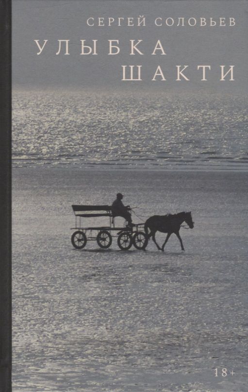 Обложка книги "Соловьев: Улыбка Шакти"