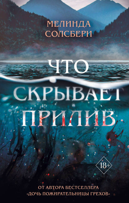 Обложка книги "Солсбери: Что скрывает прилив"