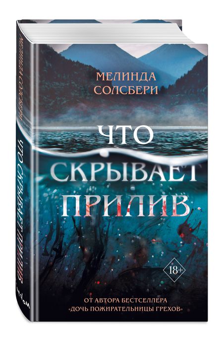 Фотография книги "Солсбери: Что скрывает прилив"