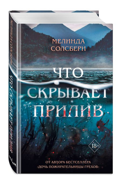 Фотография книги "Солсбери: Что скрывает прилив"