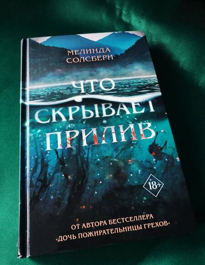 Фотография книги "Солсбери: Что скрывает прилив"