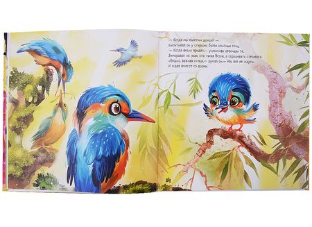 Фотография книги "Сольска: Зимородок и Весна"