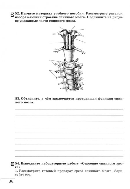 Фотография книги "Сонин, Агафонова: Биология. Человек. 8 класс. Рабочая тетрадь. ФГОС"