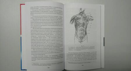 Фотография книги "Сонки: Теория постановки голоса в связи с физиологией органов, воспроизводящих звук. Учебное пособие"