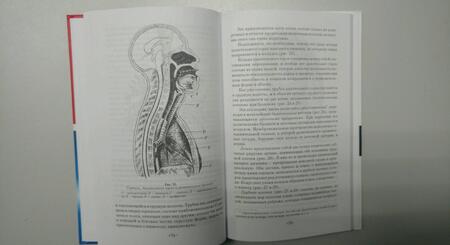 Фотография книги "Сонки: Теория постановки голоса в связи с физиологией органов, воспроизводящих звук. Учебное пособие"