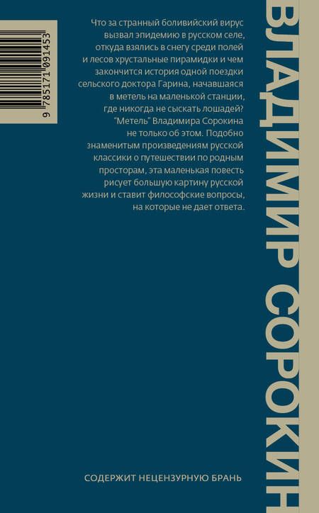 Фотография книги "Сорокин: Метель"