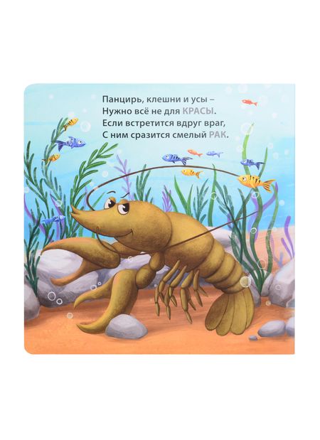 Фотография книги "Сосновский: Кто живёт в воде. Загадки-рифмы"