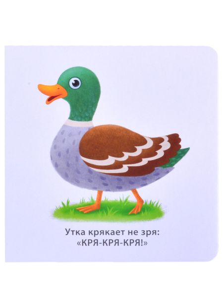 Фотография книги "Сосновский ЕвгенийЗвукоподражалки"