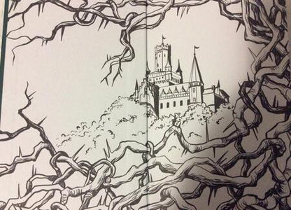 Фотография книги "Спащенко: Терновая ведьма. Изольда"