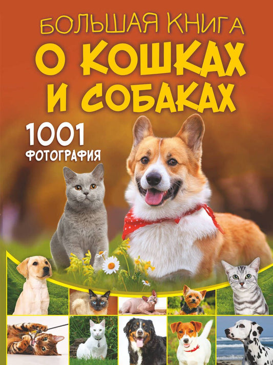 Обложка книги "Спектор, Барановская, Смирнов: Большая книга о кошках и собаках. 1001 фотография"