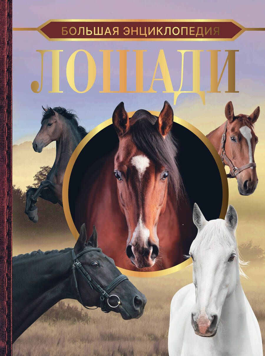 Обложка книги "Спектор: Большая энциклопедия. Лошади"