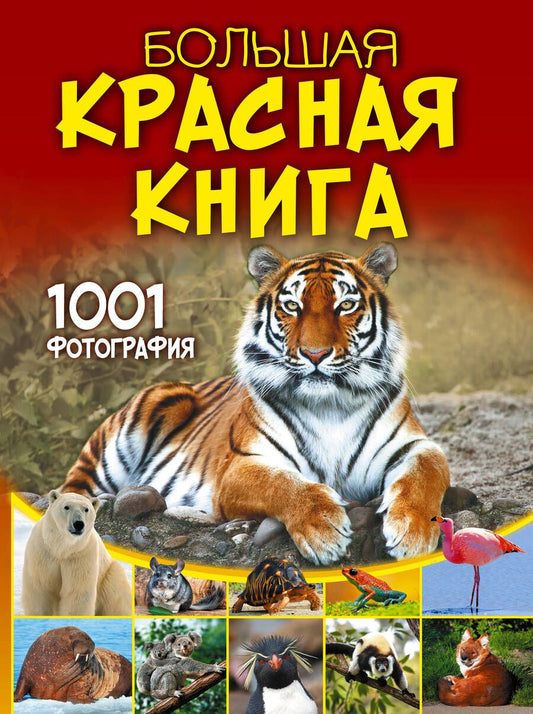 Обложка книги "Спектор: Большая красная книга. 1001 фотография"