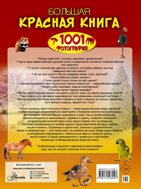 Фотография книги "Спектор: Большая красная книга. 1001 фотография"