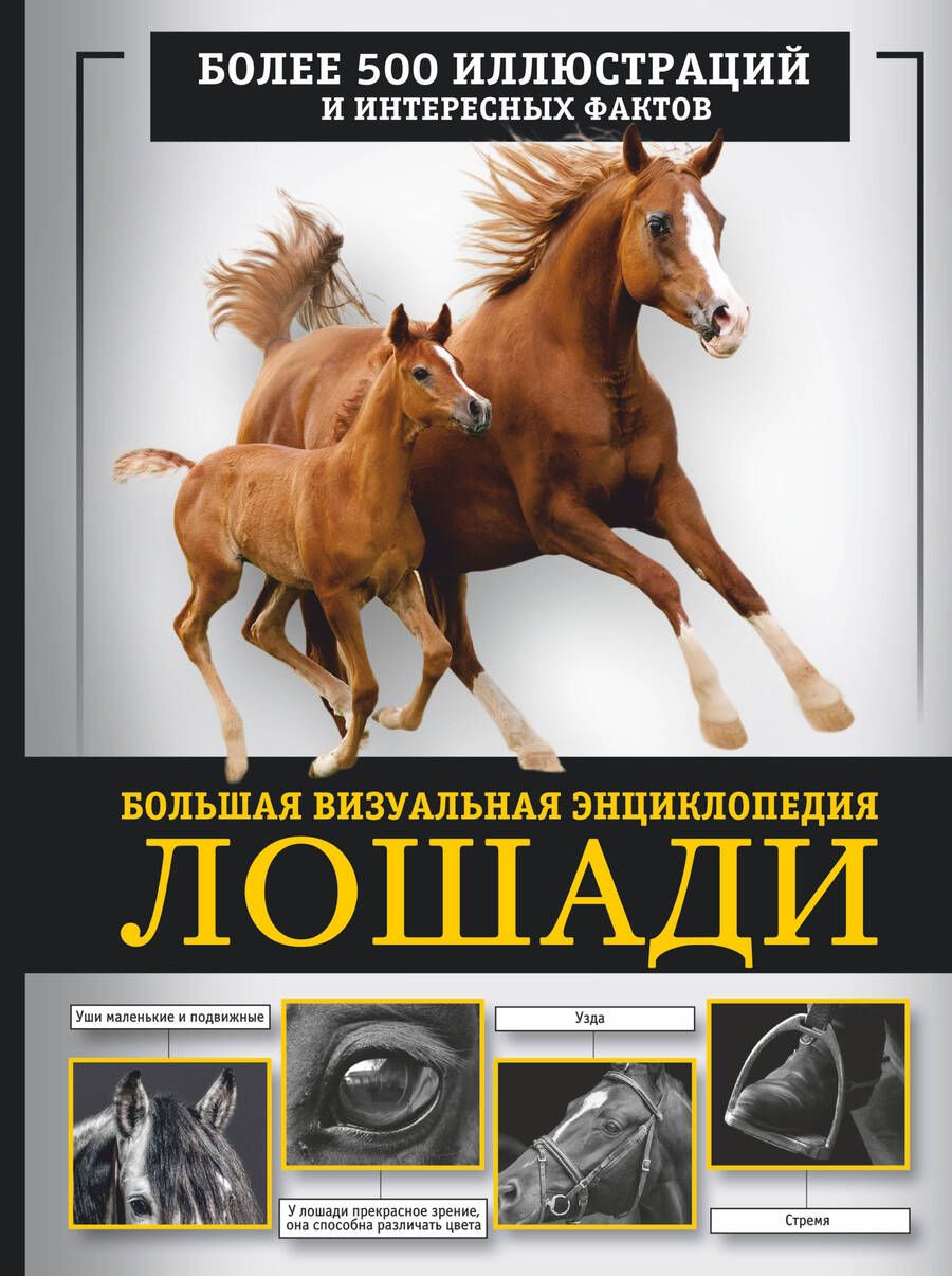 Обложка книги "Спектор: Лошади. Большая визуальная энциклопедия"