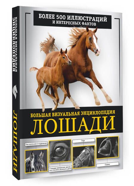 Фотография книги "Спектор: Лошади. Большая визуальная энциклопедия"
