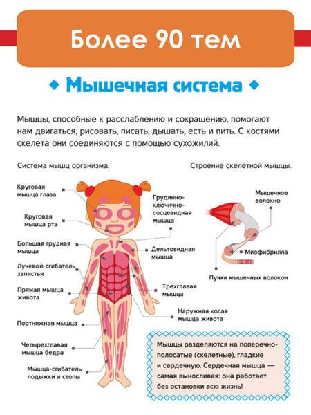 Фотография книги "Спектор: Тело человека"