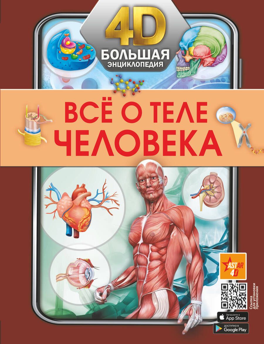 Обложка книги "Спектор: Всё о теле человека"