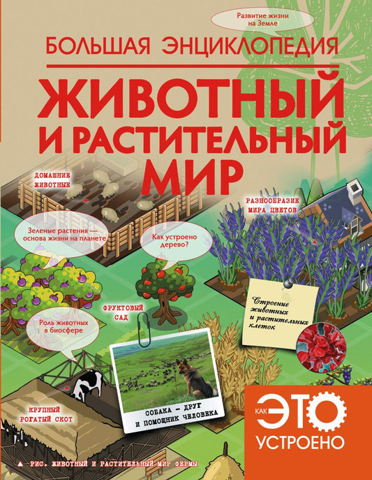Обложка книги "Спектр: НГ(под)2016!КакЭтоУстроено.Бол. энц:Животный и растительный мир"