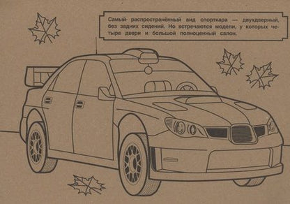 Фотография книги "Спортивные автомобили. Три цвета бумаги"