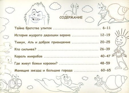 Фотография книги "Справедливый Дари. Приключения Тимуна в королевстве Итай."