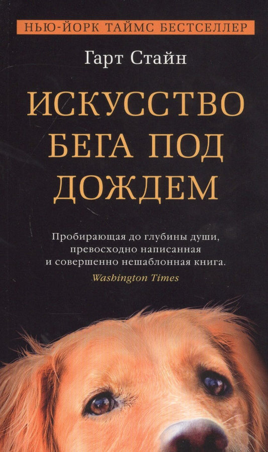 Обложка книги "Стайн: Искусство бега под дождем"