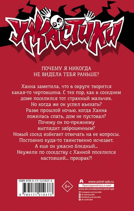 Фотография книги "Стайн: Призрак по соседству"