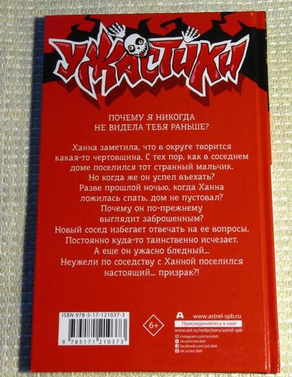 Фотография книги "Стайн: Призрак по соседству"