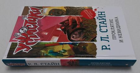 Фотография книги "Стайн: Проклятие и невидимка"