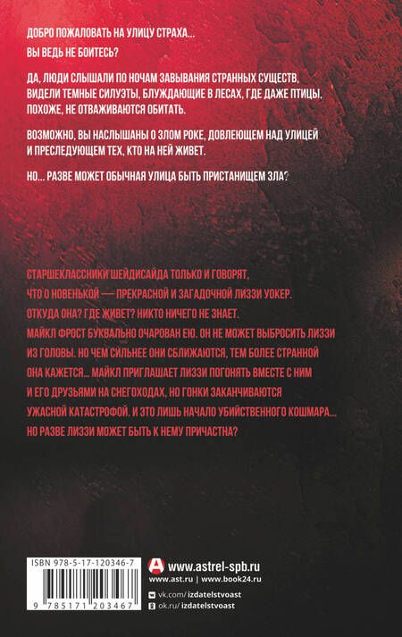 Фотография книги "Стайн: Пропавшая девушка"