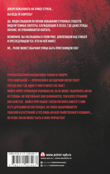 Фотография книги "Стайн: Пропавшая девушка"