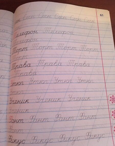 Фотография книги "Станислав Петренко: Чистописание. 1 класс. Универсальный тренажер. ФГОС"