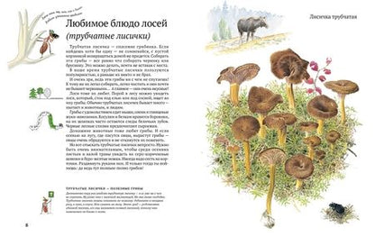Фотография книги "Стефан Каста: Софи в мире грибов"