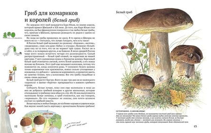 Фотография книги "Стефан Каста: Софи в мире грибов"