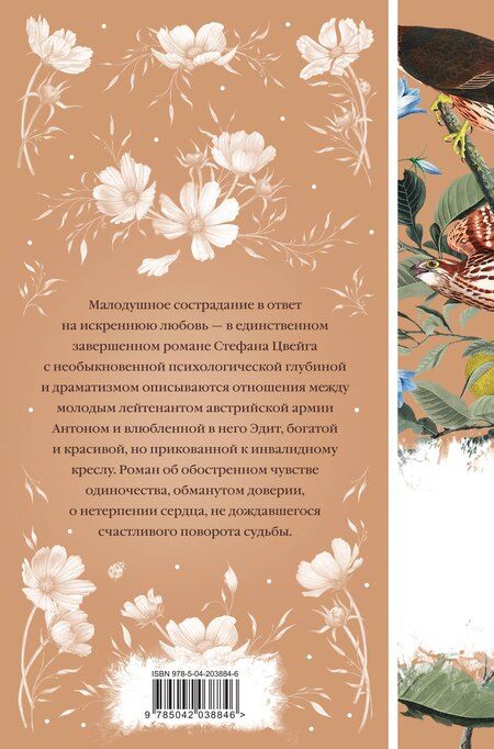 Фотография книги "Стефан Цвейг: Нетерпение сердца"