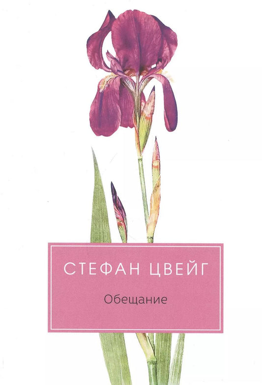 Обложка книги "Стефан Цвейг: Обещание. Сборник"