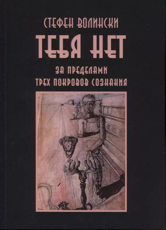 Обложка книги "Стефен Волински: Тебя нет. За пределами трех покровов сознания"