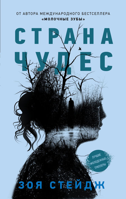 Обложка книги "Стейдж: Страна чудес"