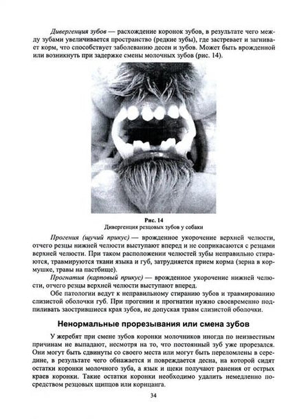 Фотография книги "Стекольников, Семенов, Руколь: Частная хирургия животных. Учебник для вузов"