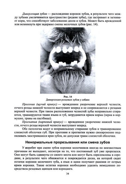 Фотография книги "Стекольников, Семенов, Руколь: Частная хирургия животных. Учебник для вузов"