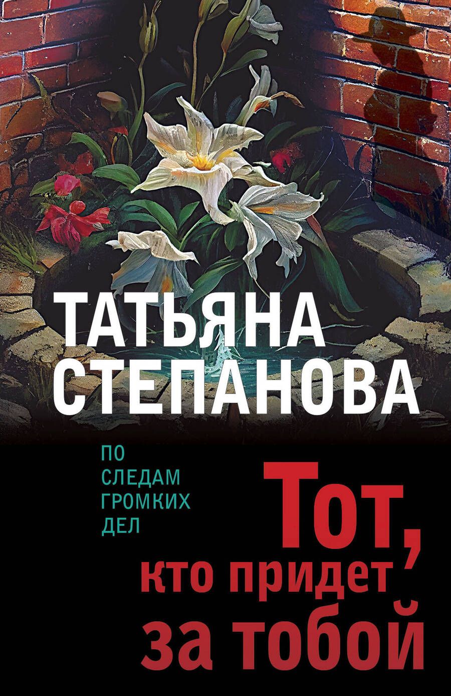Обложка книги "Степанова: Тот, кто придет за тобой"