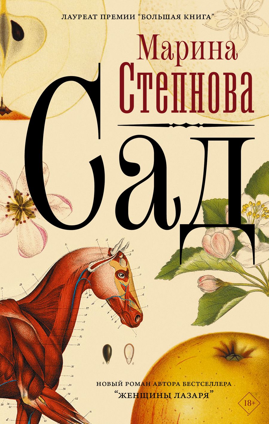 Обложка книги "Степнова: Сад"